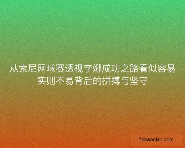 从索尼网球赛透视李娜成功之路看似容易实则不易背后的拼搏与坚守